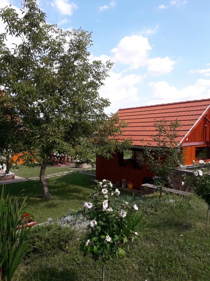 Matyas Apartman Tard Ngoại thất bức ảnh